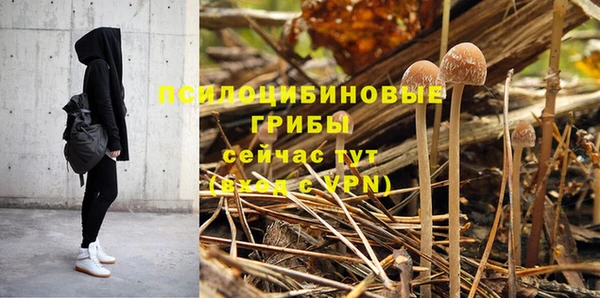 спиды Нягань
