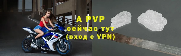 сатива Белая Холуница
