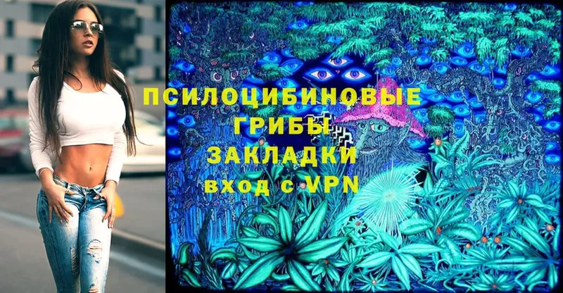 Галлюциногенные грибы Cubensis  сколько стоит  Зея 